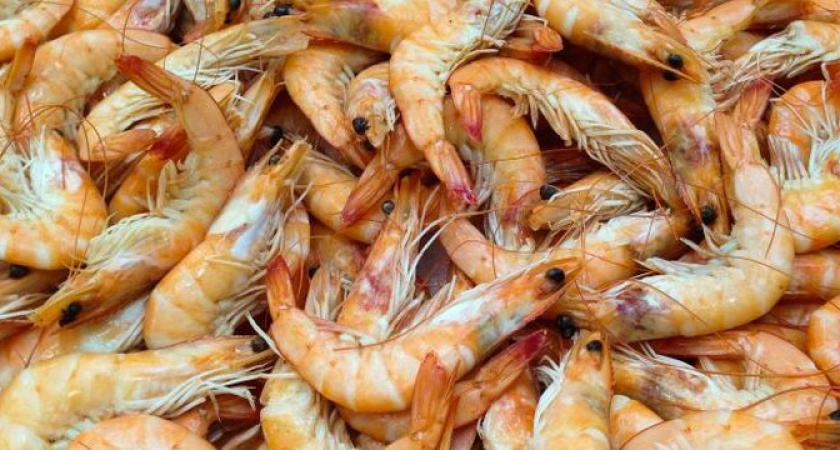 Больше не покупайте их к пиву: Росскачество проверило тигровые креветки 