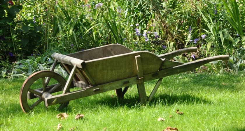 Поддержка урожая: нужны только пластиковые стаканчики – совет опытного дачника