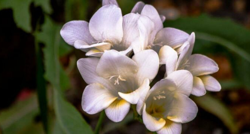 Погода не щадит: похолодание ожидается на Кубани