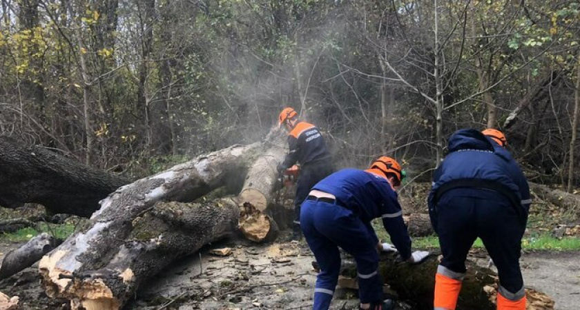 Новороссийские спасатели ликвидируют последствия ураганного ветра