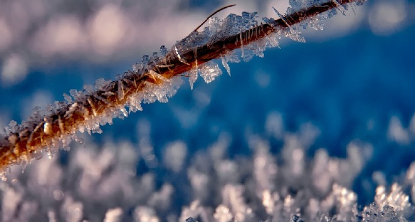 Весна в начале зимы: температура воздуха на Кубани поднимется до +21 градуса