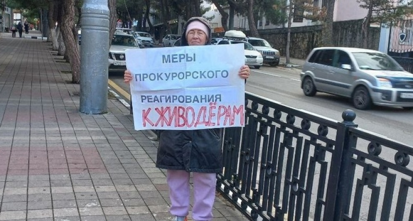 В Новороссийске активисты проводят пикеты у здания прокуратуры, чтобы вызволить животных, замурованных в подвале