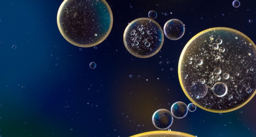 Опасность в бутылке: Роскачеств назвало марки растительного масла, которое попало в черный список