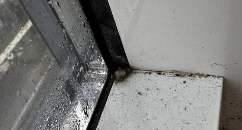 Председатель Следкома запросил доклад о деле новороссийских детей-сирот из ЖК «Гайдук-сити»