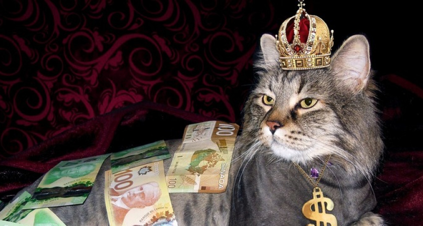 Алмазная полоса: Тамара Глоба назвала знаки, которые получат огромные деньги в 2024 году