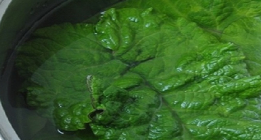 Сделала так - колени и суставы не болят уже 10 лет: проверенные народные советы