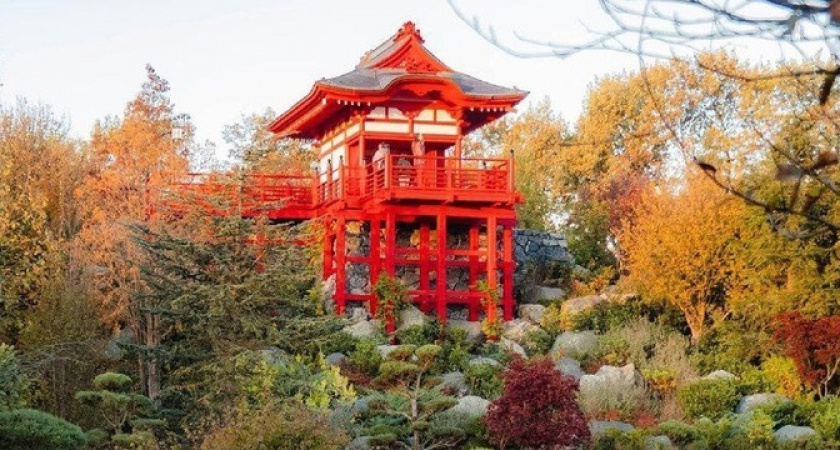 Фотограф из Новороссийска запечатлел первую осень в Японском саду: 10 умопомрачительных фото