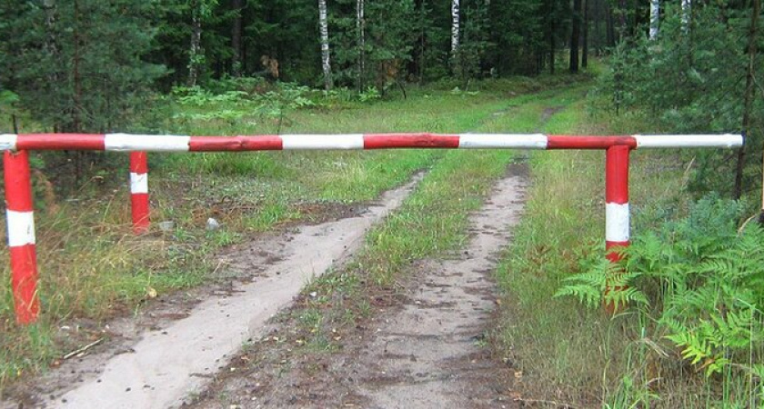 Никаких шашлыков! До 27 июля леса Новороссийска закрыты для автомобилистов