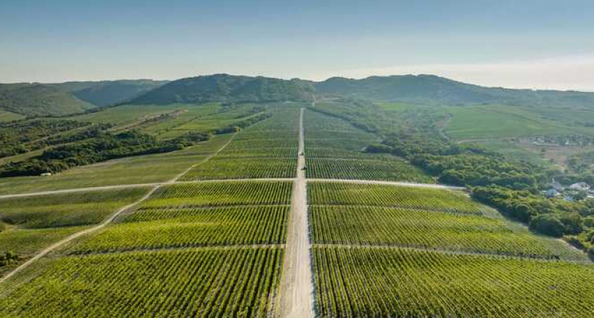 «Эксперт РА» присвоил высокий кредитный рейтинг ПАО «Абрау-Дюрсо» ruА+