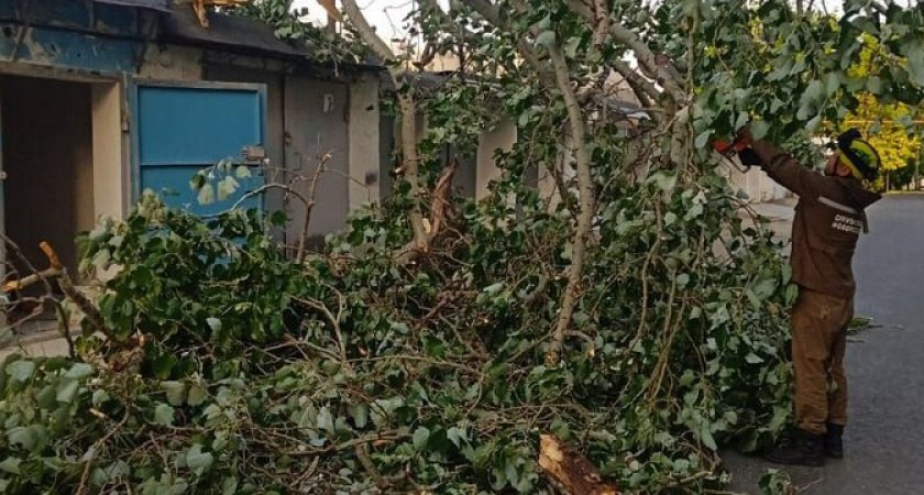 В Новороссийске норд-ост валит деревья