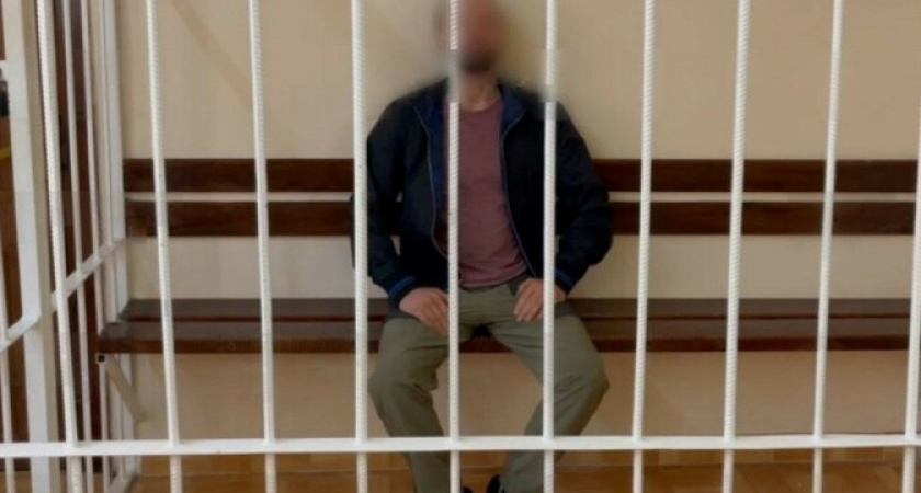 Сочинского блогера-сыроеда, заморившего месячного сына голодом, заключили под стражу