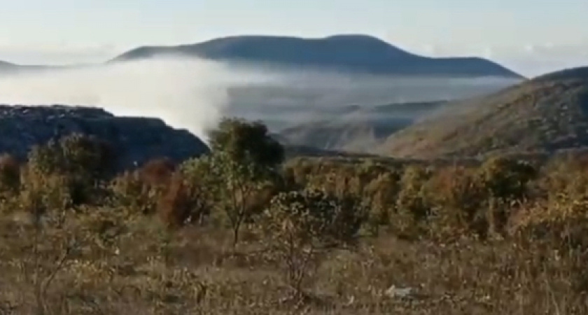 Новороссийские активисты пожаловались президенту на частые пожары на мусорном полигоне