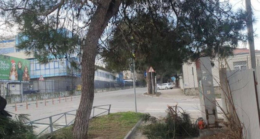 Гололед, дома без света: непогода в Новороссийске не проходит без следа