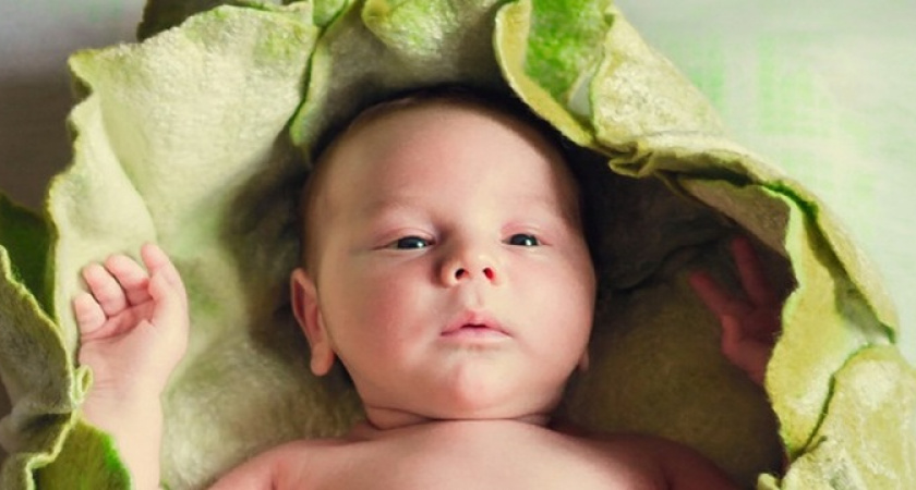 В Кировской области малышу дали редкое древнеиранское имя, которое переводится как "дикий зверь"