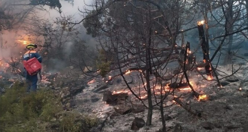 Полиция опрашивает свидетелей и очевидцев пожара под Новороссийском: для расследования дела создали спецгруппу 