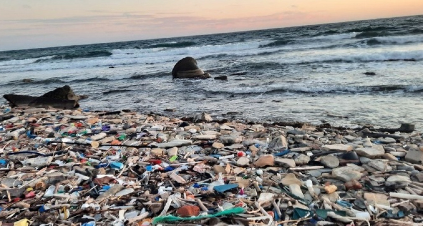 Берег Широкой Балки в Новороссийске тонет в мусоре 