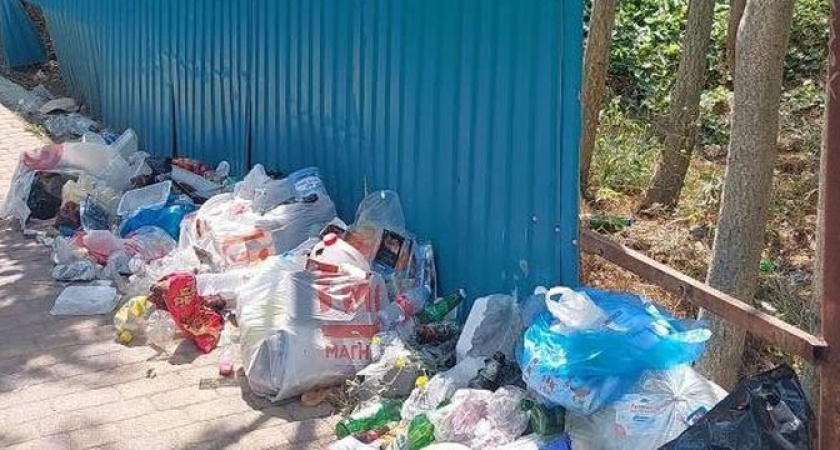 «Ну почему люди такие свиньи?»: урочище Широкая Балка под Новороссийском утопает в мусоре