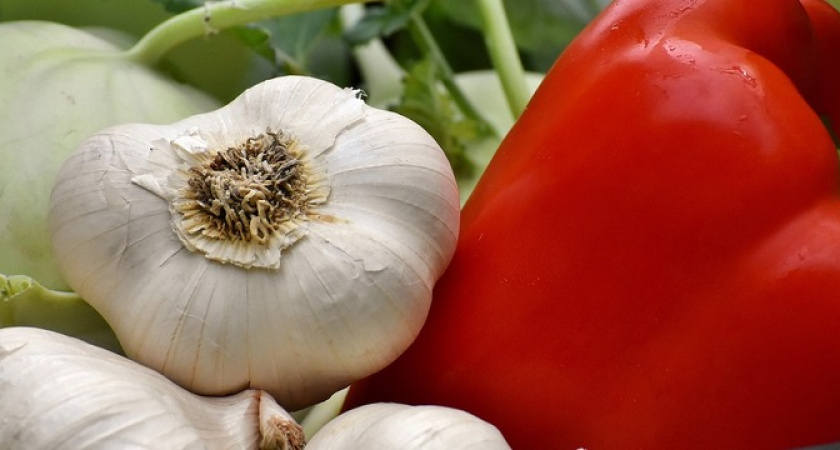 Так делали еще наши предки: положите чеснок под подушку и уже утром увидите эффект