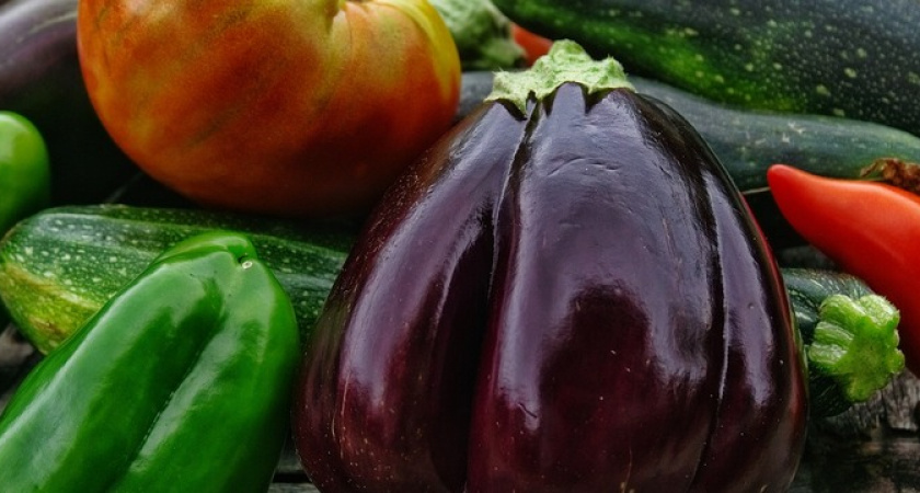 Всего три ложки в лунку — помидоры, огурцы и перцы будут удивлять урожаем