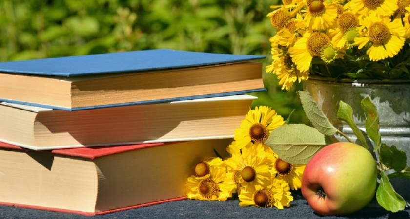 Срочно загляните на свои полки: за эти книги готовы заплатить миллионы