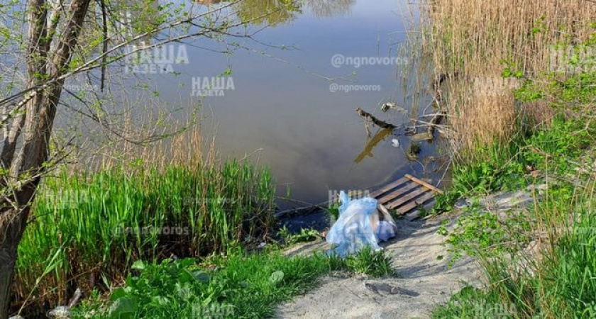 В Южных прудах Новороссийска утонул мужчина: произошедшее попало на видео