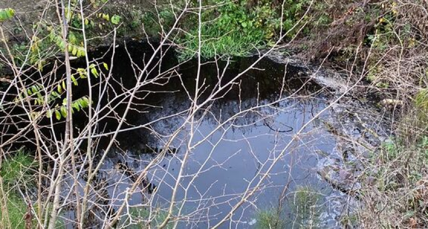 Минприроды не знает, кого наказать за черную воду в истоке реки Цемес в Новороссийске