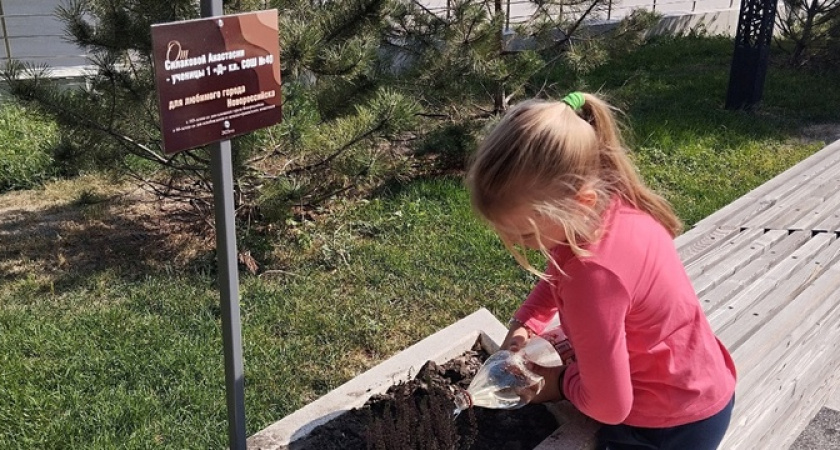 «Этот город никогда не будет красивым!»: в Новороссийске из парка Фрунзе воруют цветы, посаженные детьми