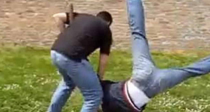 Душил и бил по лицу: жители поселка под Новороссийском устроили драку из-за выгула собаки