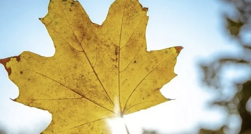 Аномальное тепло: Краснодарский край снова накроет бабье лето