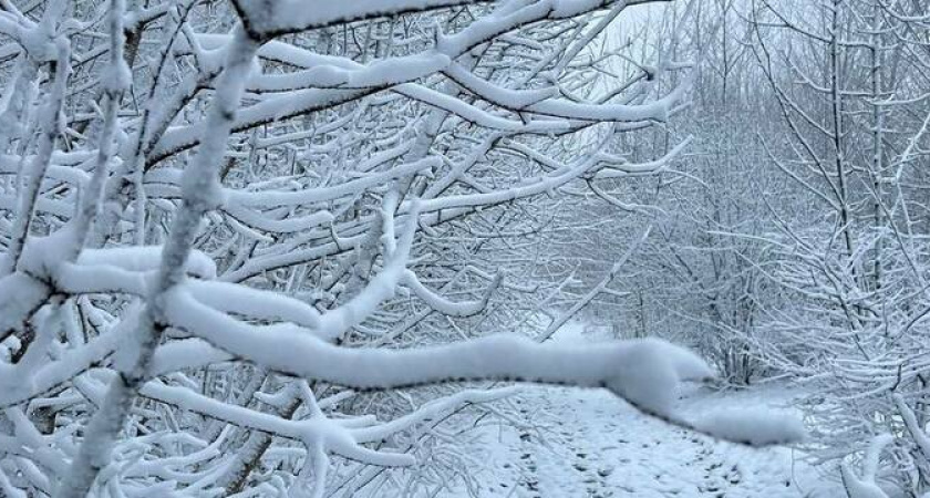 Температуры рухнут: в Краснодарский край придут мощные морозы
