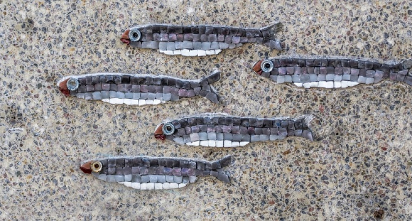 Фотограф из Новороссийска обнаружил мозаику «Хамса» на городской набережной