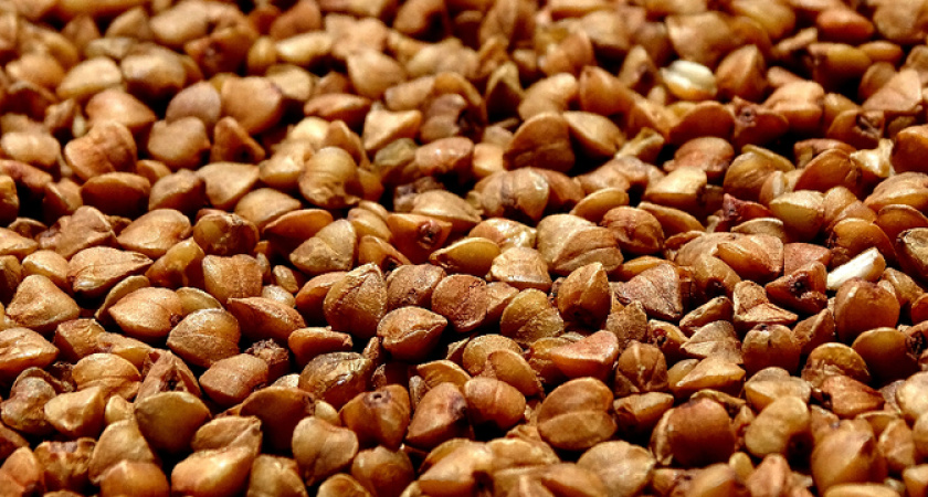 Сочетание гречки с продуктам. С чем точно не стоит есть гречневую кашу - рассказал врач-диетолог