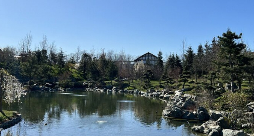 Главный парк Краснодара показал рост трафика в 1,5 раза