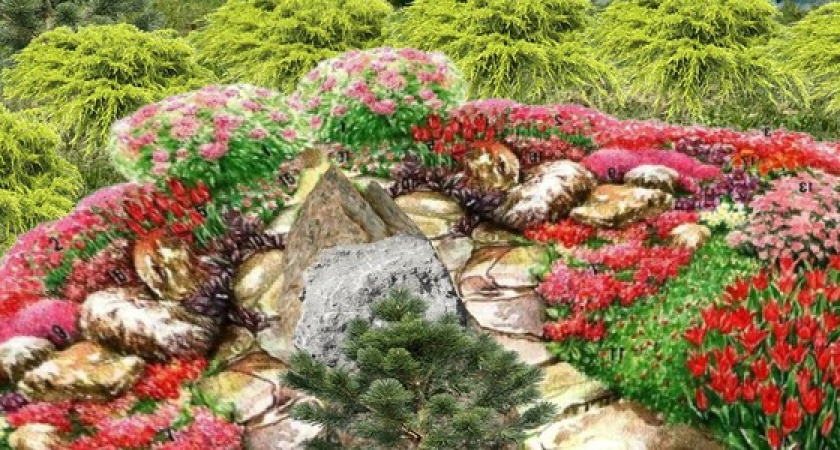 На Советов высадят бамбук, а на Мефодиевке будет благоухать лаванда: почти 10,5 миллиона рублей выделено на вертикальное озеленение в Новороссийске