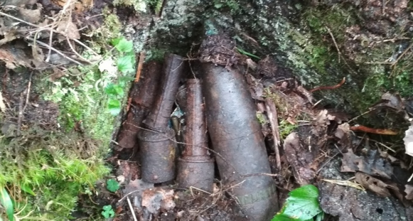 Под Новороссийском дети играют с минами времен войны