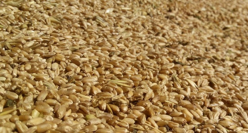 Что нужно сделать с пшеном перед варкой: раскрываем хитрость поваров для вкуснейшей каши 