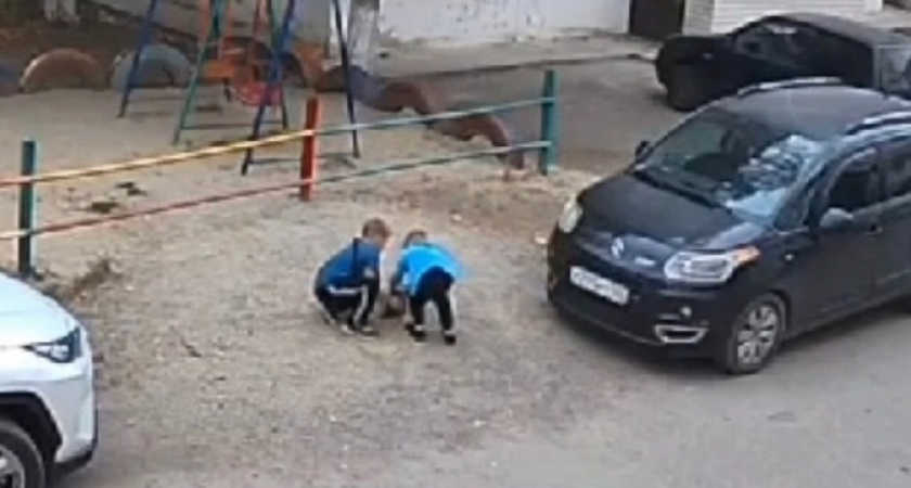 На Кубани малолетние негодяи заживо закопали котенка и всячески издевались над ним