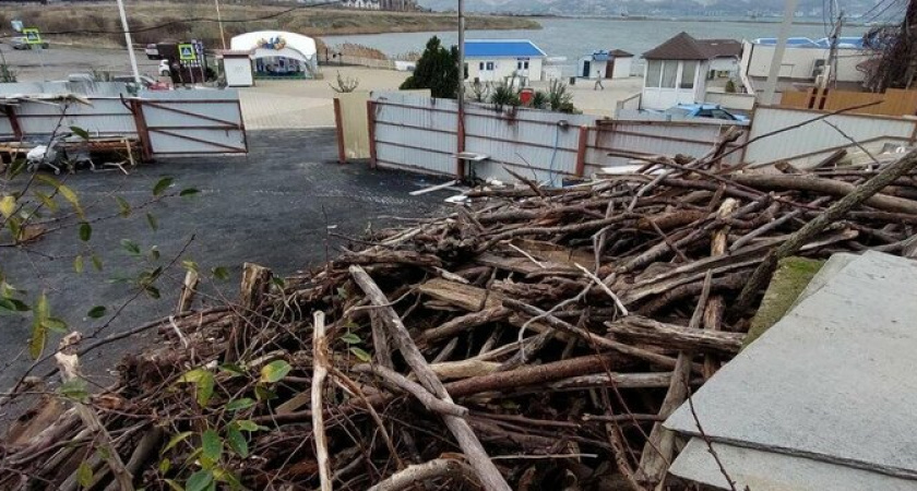 Новороссийцам предлагают бесплатно забрать древесину, выброшенную на пляжи штормом, на дрова