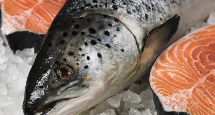 Заживем по-царски: новороссийцы смогут покупать красную рыбу дешево