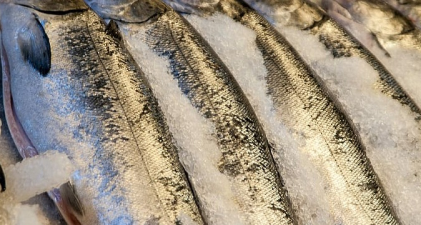 В этой рыбе нашли зашкаливающее количество ртути: гробит печень, мозг и сердце