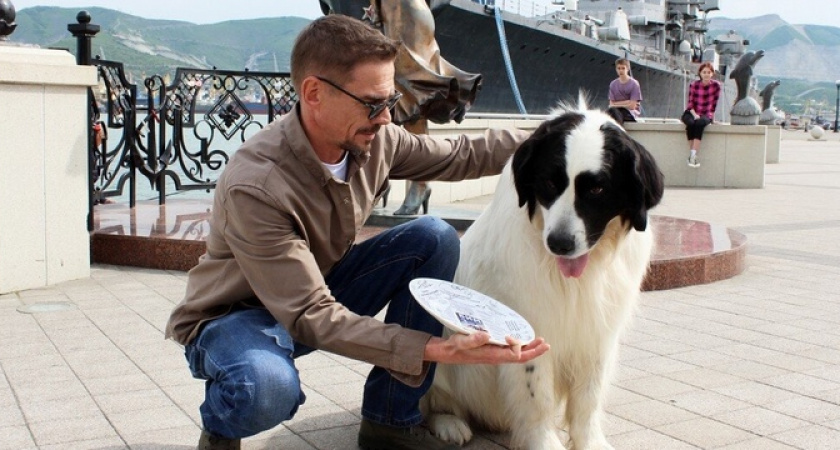 В Новороссийске из-за съемок фильма «Бим-3» 18 октября закроют проезд на нескольких улицах