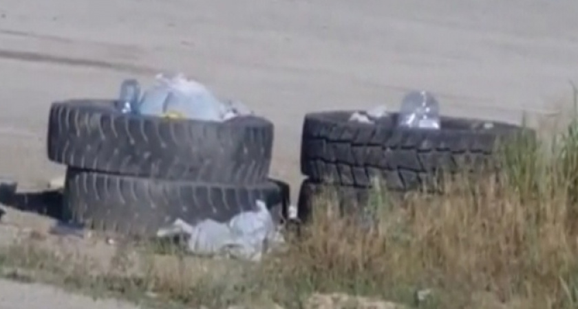 «Когда вы перестанете гадить себе под ноги!?»: дальнобойщик из Новороссийска обратился к коллегам