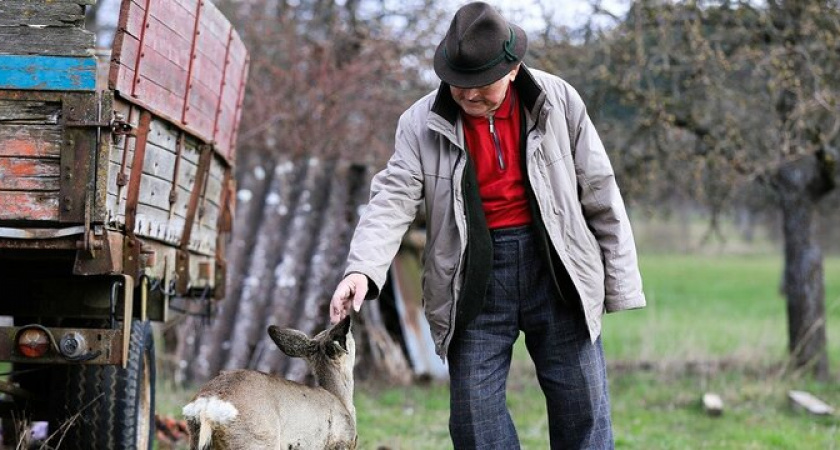Увеличение рабочих мест в связи с ростом пенсионного возраста