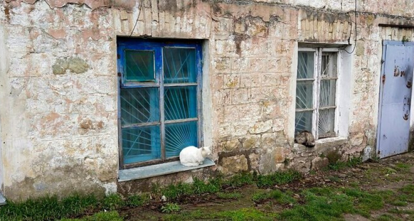 «Гнилые окна, протекающая крыша и сырость»: жители Новороссийска просят провести капитальный ремонт почти полтора вековому зданию «Казачьей Управы»