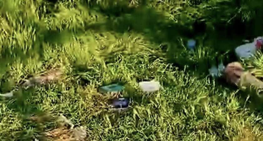 «Уроды жрали в Прилагунье»: в Новороссийске отдыхающие разжигали костер заповедной зоне