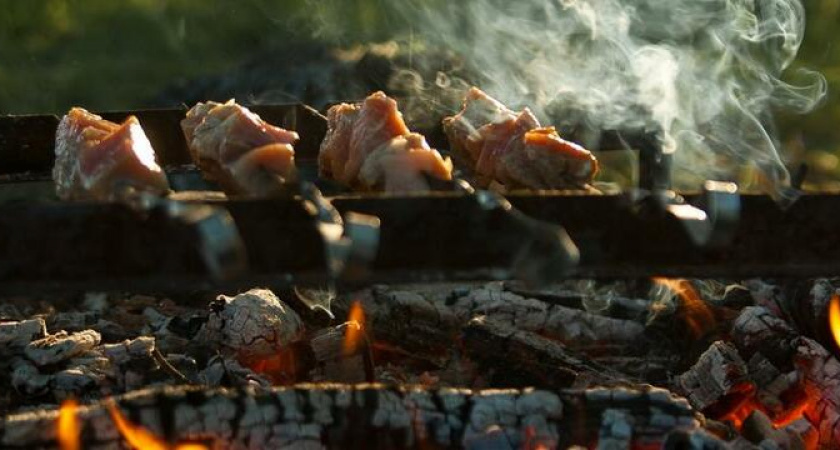 В Новороссийске запретят жарить шашлык на майские праздники 