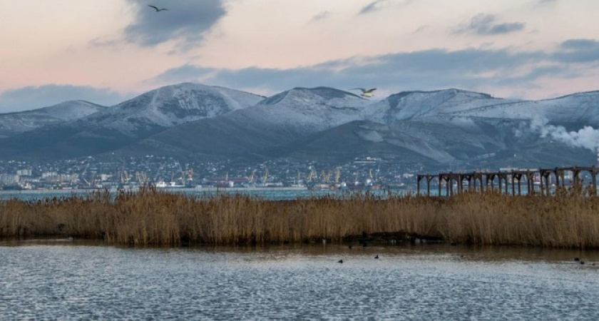 Животные страдают от мусора! Активисты зовут новороссийцев на субботник в Суджукскую лагуну