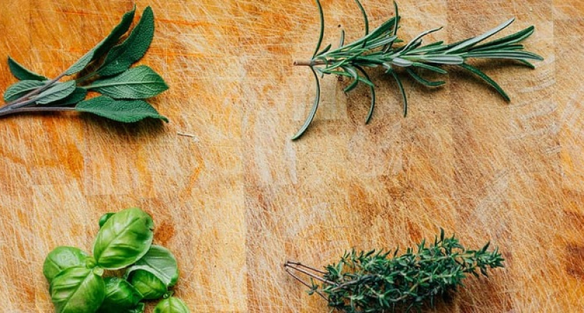 «Хотя бы одну грядку!» Стало известно, какая зелень самая полезная — вот что можно посадить на даче летом