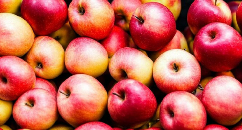 Высадите яблоню в это место: будут плодоносить до осени