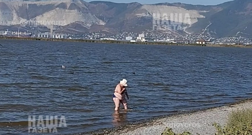 «Неужели не мерзко?»: туристы купаются в лимане на пляже «Алексино» с коричневой водой и дохлой рыбой